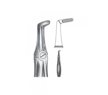 Extracting Forceps